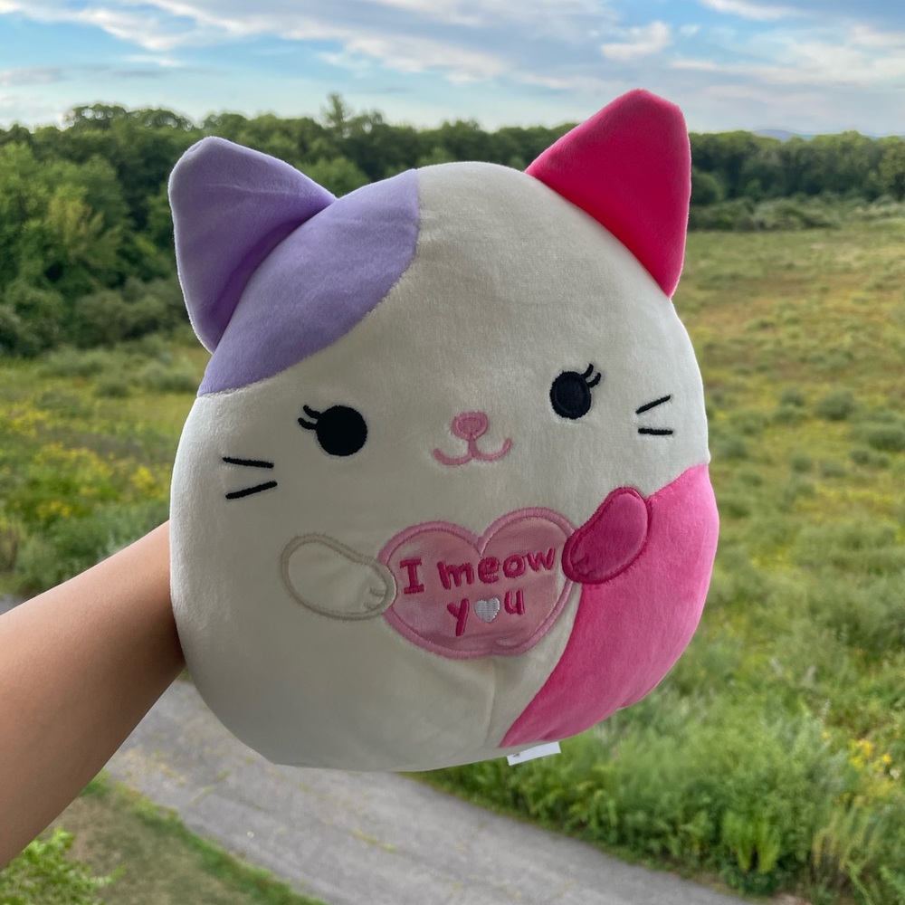 Tiffany The Cat- *Limited Edition* Squishmallow 8”